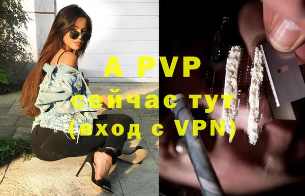 ГАЛЛЮЦИНОГЕННЫЕ ГРИБЫ Киреевск