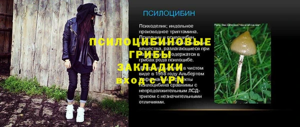 ГАЛЛЮЦИНОГЕННЫЕ ГРИБЫ Киреевск